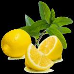 Лимон – чим корисний і чим шкідливий цей вітамінний цитрус?