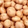 Кукурудзяний та картопляний крохмаль - користь та шкода для організму людини